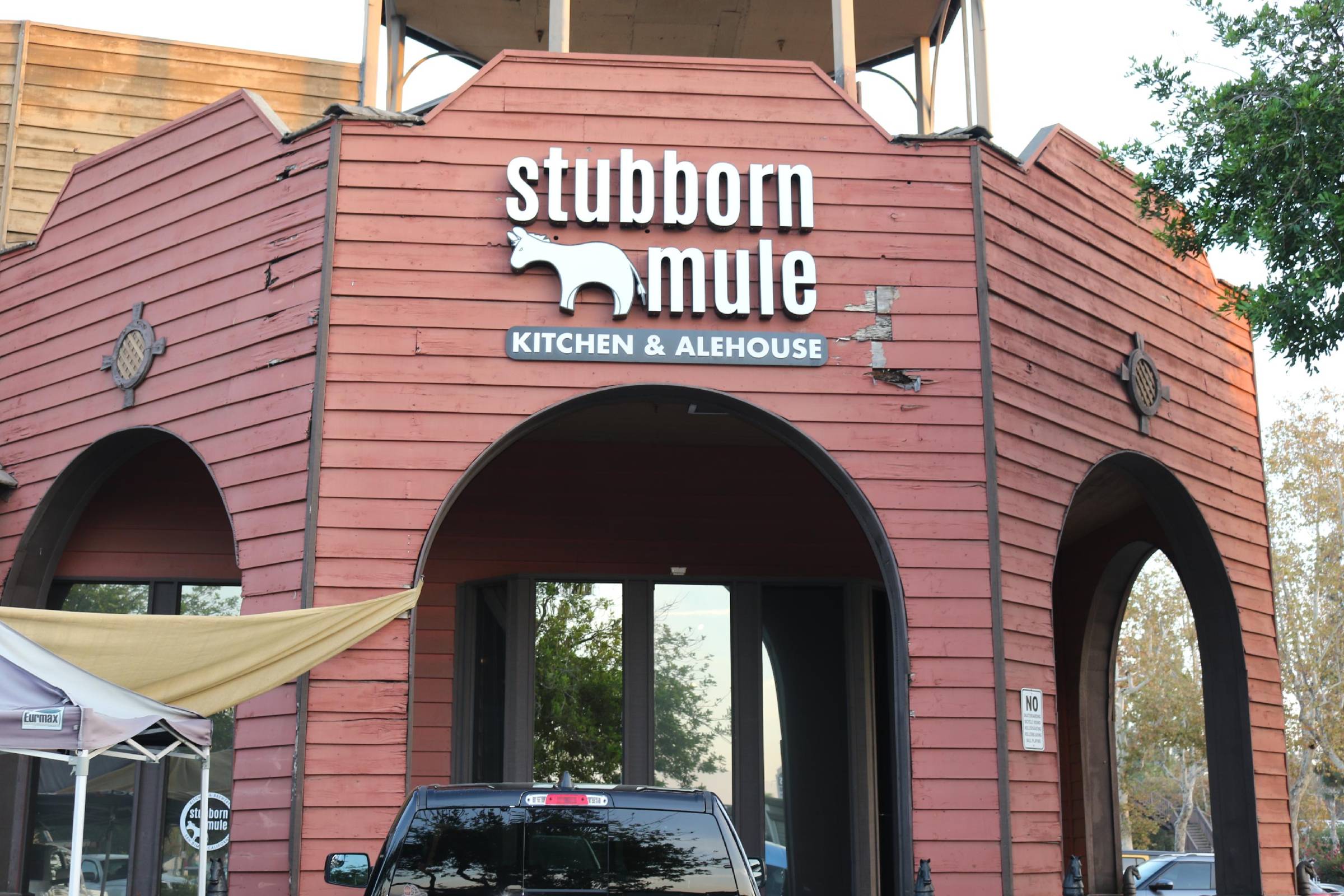 Stubborn Mule - Copy